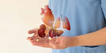 27 de febrero - Día del Trasplante de Órganos