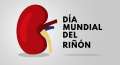 9 de marzo: Día Mundial del Riñón