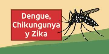 Dengue: consejos esenciales para cuidarte y cuidar a tu familia